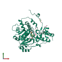 PDB entry 1h0c coloured by chain, front view.
