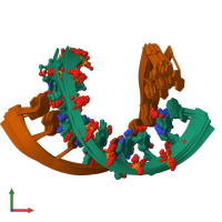 PDB entry 1h0q coloured by chain, ensemble of 20 models, front view.