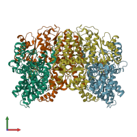 PDB entry 1h1l coloured by chain, front view.