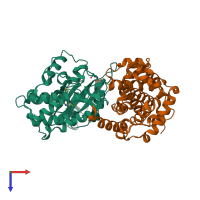 Hetero dimeric assembly 1 of PDB entry 1h1s coloured by chemically distinct molecules, top view.
