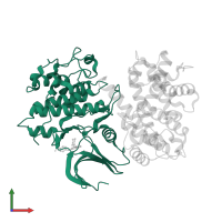 Cyclin-dependent kinase 2 in PDB entry 1h1s, assembly 1, front view.