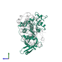 Cyclin-dependent kinase 2 in PDB entry 1h25, assembly 1, side view.