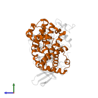 Cyclin-A2 in PDB entry 1h26, assembly 1, side view.