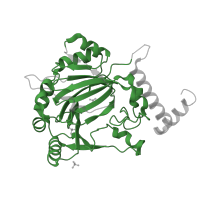 The deposited structure of PDB entry 1h2m contains 1 copy of Pfam domain PF13621 (Cupin-like domain) in Hypoxia-inducible factor 1-alpha inhibitor. Showing 1 copy in chain A.