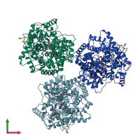 PDB entry 1h36 coloured by chain, front view.