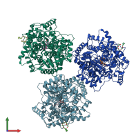 3D model of 1h37 from PDBe