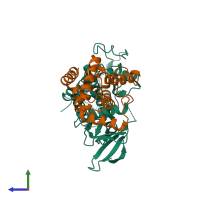 Hetero dimeric assembly 2 of PDB entry 1h4l coloured by chemically distinct molecules, side view.