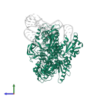 Proline--tRNA ligase in PDB entry 1h4q, assembly 1, side view.