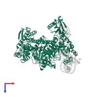 Proline--tRNA ligase in PDB entry 1h4q, assembly 1, top view.