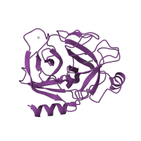 The deposited structure of PDB entry 1h4w contains 1 copy of SCOP domain 50514 (Eukaryotic proteases) in Trypsin-3. Showing 1 copy in chain A.