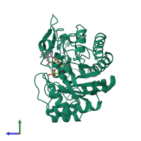 PDB entry 1h60 coloured by chain, side view.