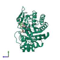 PDB entry 1h62 coloured by chain, side view.
