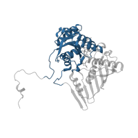 The deposited structure of PDB entry 1h6c contains 2 copies of CATH domain 3.40.50.720 (Rossmann fold) in Glucose--fructose oxidoreductase. Showing 1 copy in chain A.