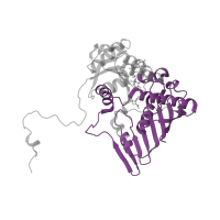 The deposited structure of PDB entry 1h6c contains 2 copies of Pfam domain PF02894 (Oxidoreductase family, C-terminal alpha/beta domain) in Glucose--fructose oxidoreductase. Showing 1 copy in chain A.