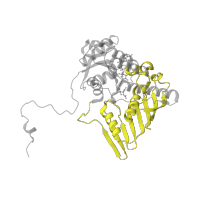 The deposited structure of PDB entry 1h6c contains 2 copies of SCOP domain 55376 (Glucose 6-phosphate dehydrogenase-like) in Glucose--fructose oxidoreductase. Showing 1 copy in chain A.