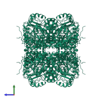 Delta-aminolevulinic acid dehydratase in PDB entry 1h7o, assembly 1, side view.