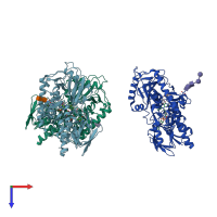 PDB entry 1h86 coloured by chain, top view.