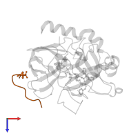 Hirudin variant-1 in PDB entry 1h8i, assembly 1, top view.