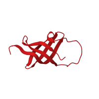 The deposited structure of PDB entry 1h95 contains 1 copy of CATH domain 2.40.50.140 (OB fold (Dihydrolipoamide Acetyltransferase, E2P)) in Y-box-binding protein 1. Showing 1 copy in chain A.