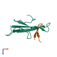 PDB entry 1haa coloured by chain, top view.