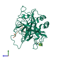 PDB entry 1hag coloured by chain, side view.