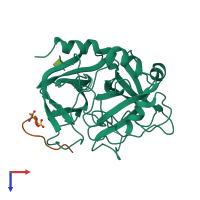 PDB entry 1hag coloured by chain, top view.
