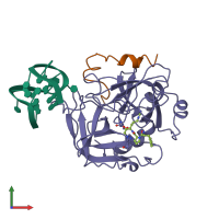 PDB entry 1hap coloured by chain, front view.