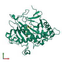 PDB entry 1hb2 coloured by chain, front view.