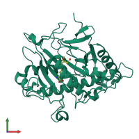 PDB entry 1hb4 coloured by chain, front view.