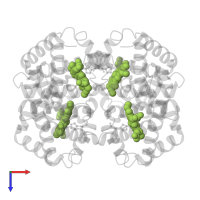 PROTOPORPHYRIN IX CONTAINING FE in PDB entry 1hba, assembly 1, top view.