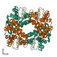 Hetero tetrameric assembly 1 of PDB entry 1hbb coloured by chemically distinct molecules, front view.