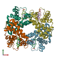 PDB entry 1hbb coloured by chain, front view.
