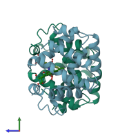 PDB entry 1hbi coloured by chain, side view.