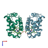 PDB entry 1hbi coloured by chain, top view.