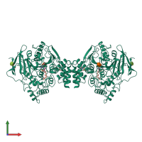 Homo dimeric assembly 1 of PDB entry 1hbj coloured by chemically distinct molecules, front view.