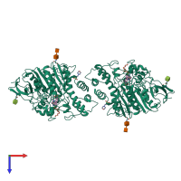 Homo dimeric assembly 1 of PDB entry 1hbj coloured by chemically distinct molecules, top view.