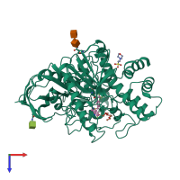 PDB entry 1hbj coloured by chain, top view.