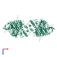 Acetylcholinesterase in PDB entry 1hbj, assembly 1, top view.