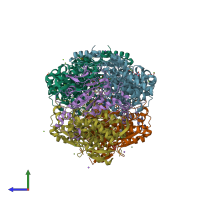 PDB entry 1hbn coloured by chain, side view.