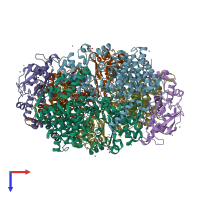 PDB entry 1hbn coloured by chain, top view.