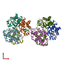 PDB entry 1hbs coloured by chain, front view.