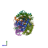 PDB entry 1hbs coloured by chain, side view.