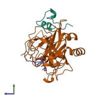 PDB entry 1hbt coloured by chain, side view.