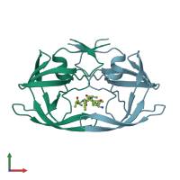 PDB entry 1hbv coloured by chain, front view.