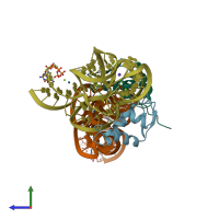 PDB entry 1hc8 coloured by chain, side view.