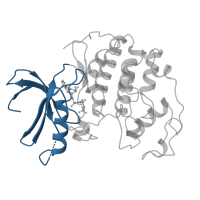 The deposited structure of PDB entry 1hck contains 1 copy of CATH domain 3.30.200.20 (Phosphorylase Kinase; domain 1) in Cyclin-dependent kinase 2. Showing 1 copy in chain A.