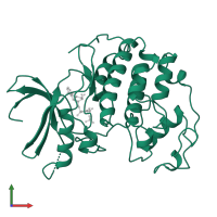 Cyclin-dependent kinase 2 in PDB entry 1hck, assembly 1, front view.