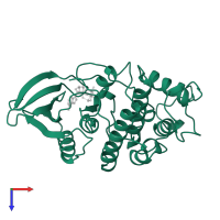 Cyclin-dependent kinase 2 in PDB entry 1hck, assembly 1, top view.