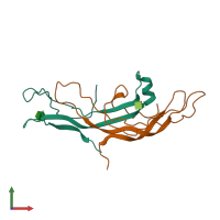 PDB entry 1hcn coloured by chain, front view.