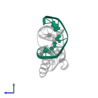 DNA (5'-D(*TP*GP*TP*TP*TP*TP*TP*GP*AP*TP*AP*AP*GP*A)-3') in PDB entry 1hcr, assembly 1, side view.